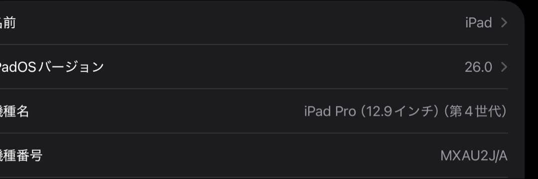iPad Pro 12.9インチ + magic keyboard