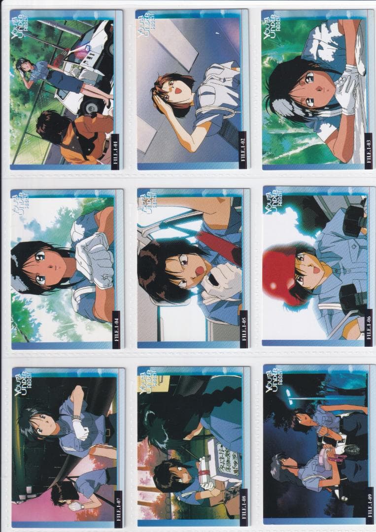 逮捕しちゃうぞ トレーディングカード 藤島康介 全種類フルコンプ