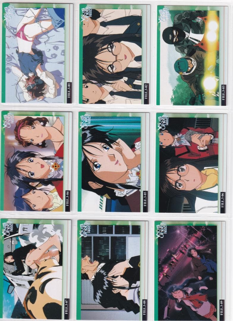 逮捕しちゃうぞ トレーディングカード 藤島康介 全種類フルコンプ