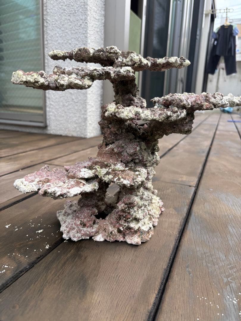 ライブロック 2点セット JSコーラル