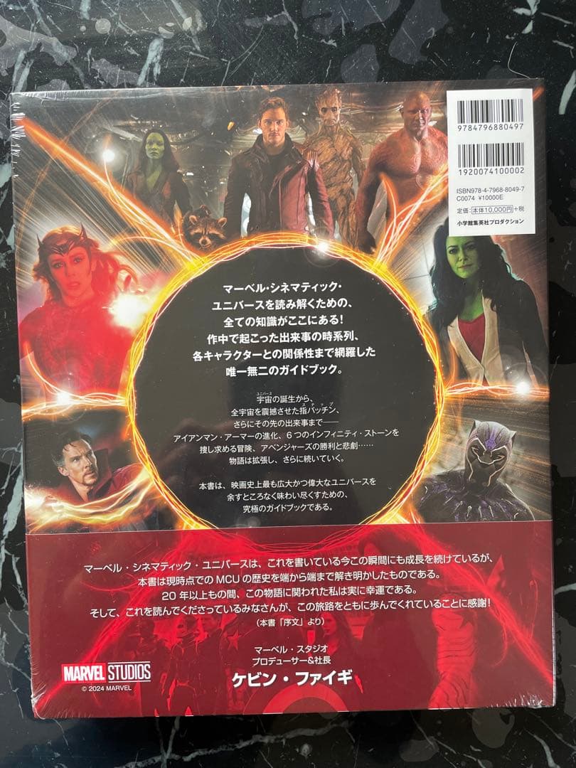 【新品・完売品】マーベル・シネマティック・ユニバース　公式タイムラインガイド