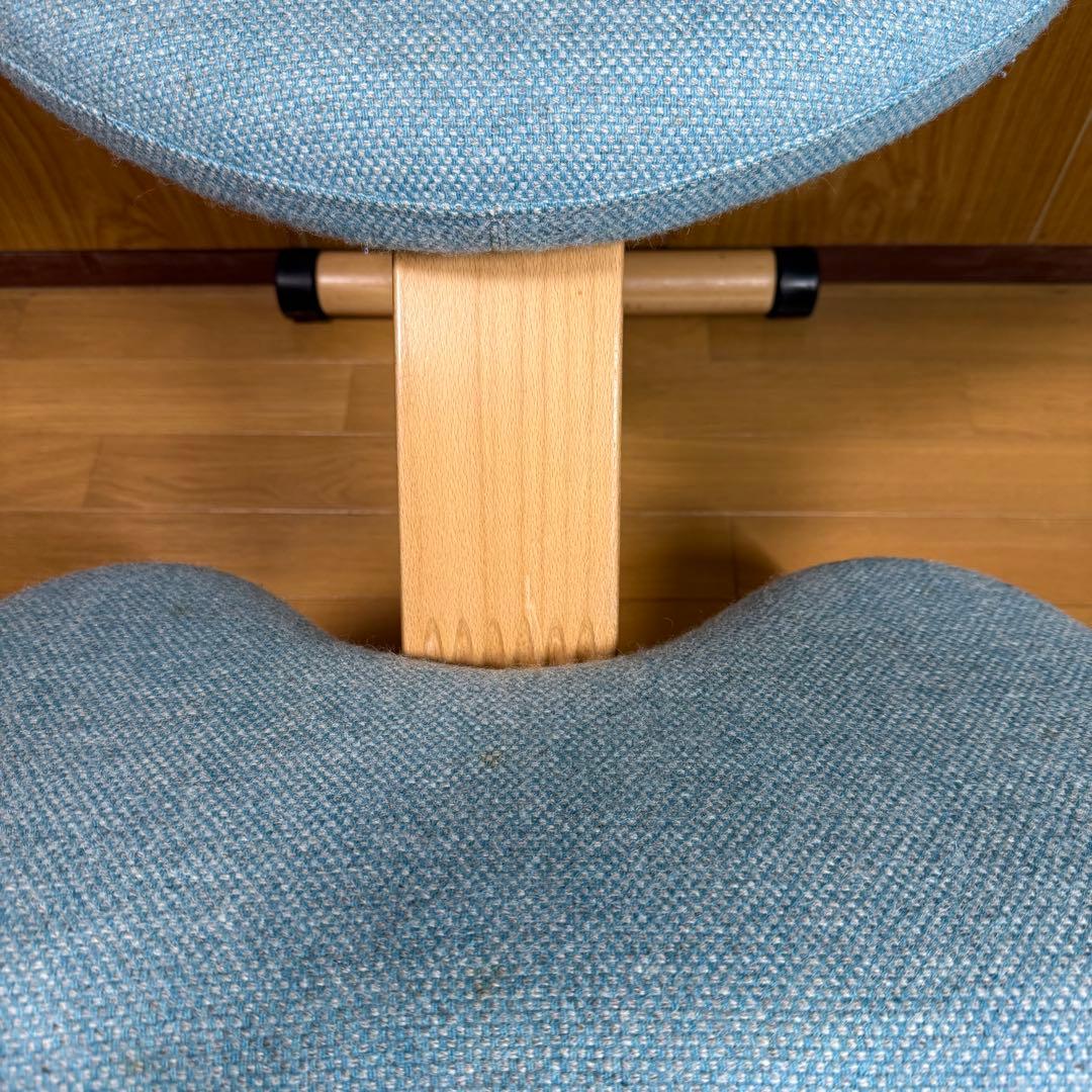 【Rybo】バランスイージー balans Easy ライトブルー ローラー付