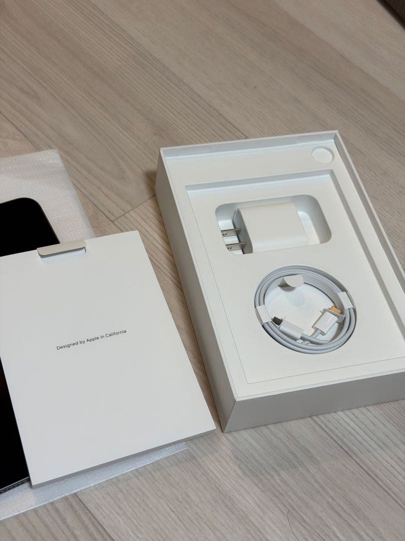 iPad mini 6 スペースグレー256GB Wi-Fi + Celluar