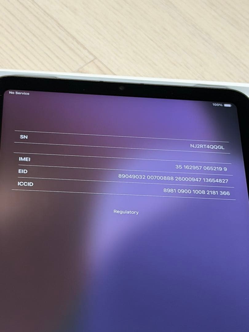 iPad mini 6 スペースグレー256GB Wi-Fi + Celluar
