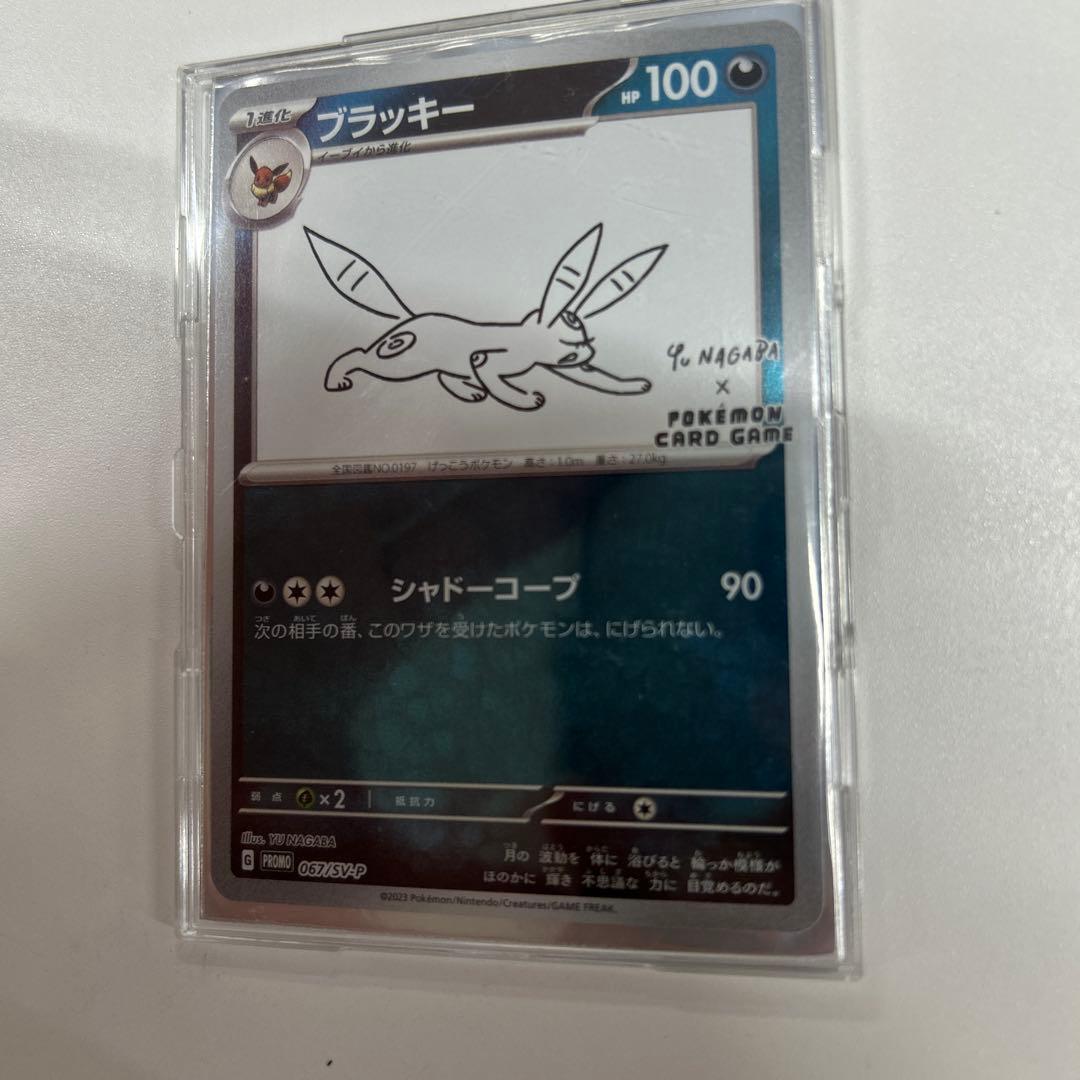 R*様 ブラッキー(YU NAGABA)