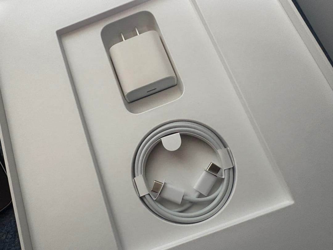 美品 iPad Pro 12.9インチ 第4世代 スペースグレー【箱・ケース付】