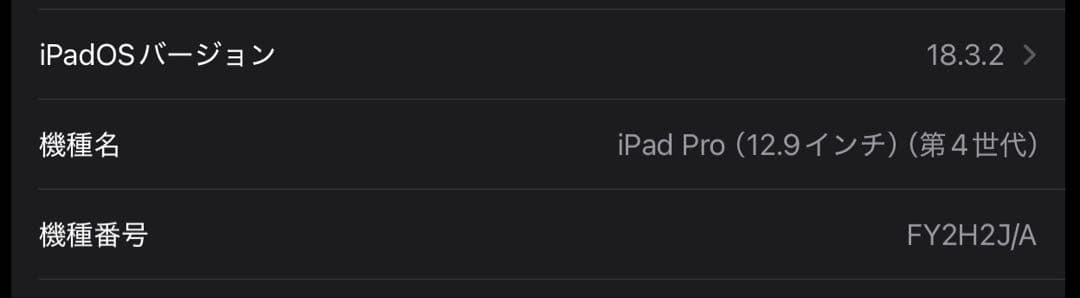 美品 iPad Pro 12.9インチ 第4世代 スペースグレー【箱・ケース付】