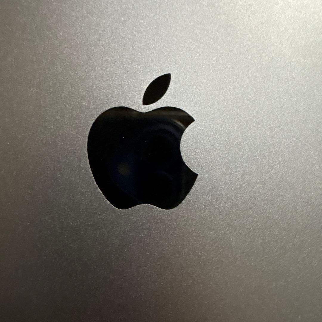 Apple iPad Mini 5セルラー　スペースグレー