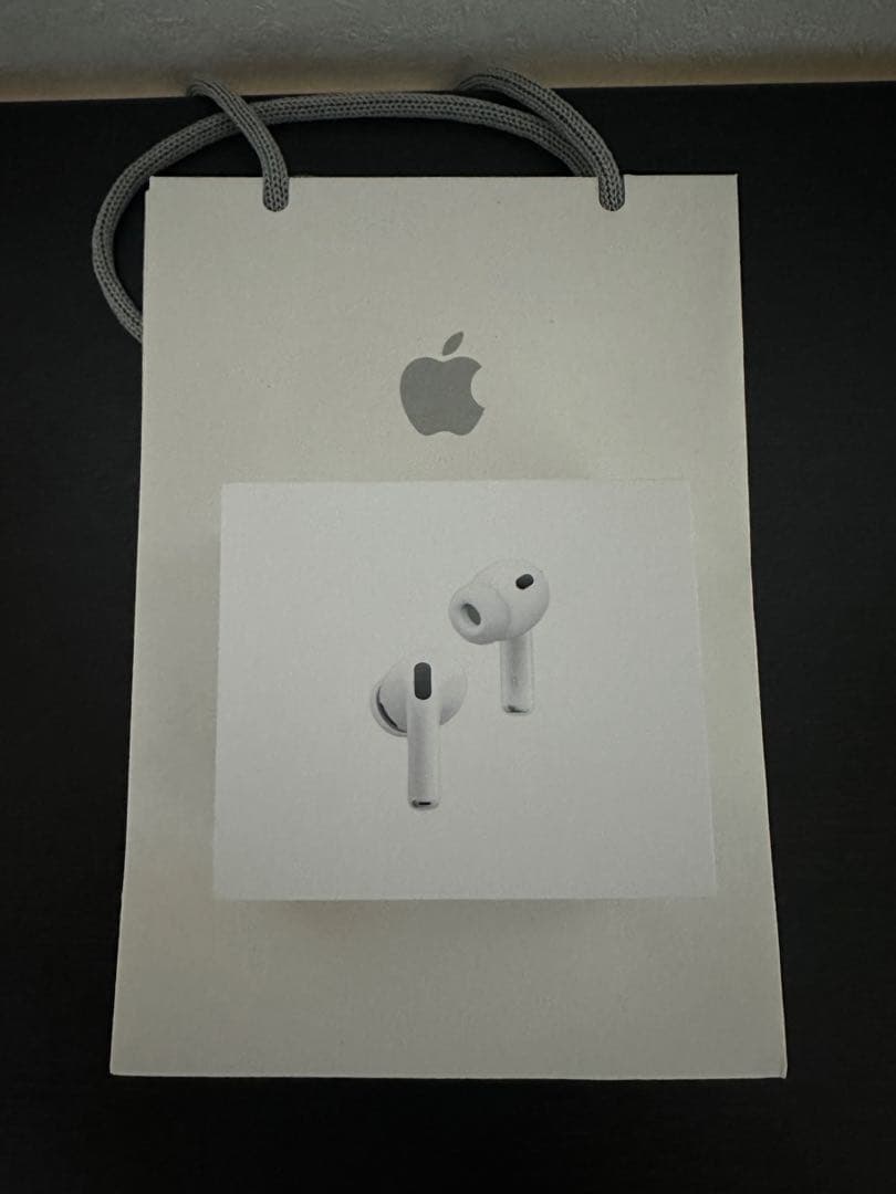 岩*二様 Apple AirPods Pro3 本体