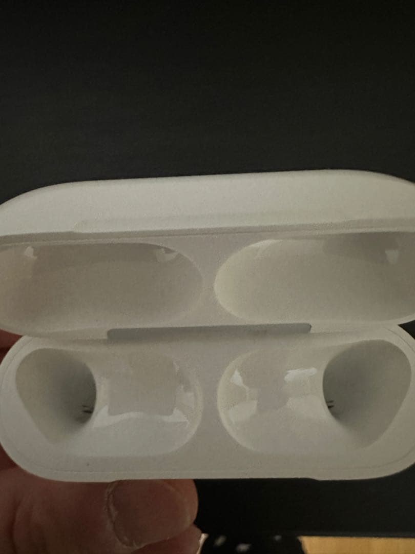 岩*二様 Apple AirPods Pro3 本体