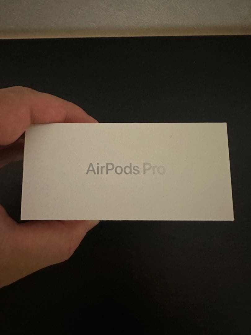 岩*二様 Apple AirPods Pro3 本体