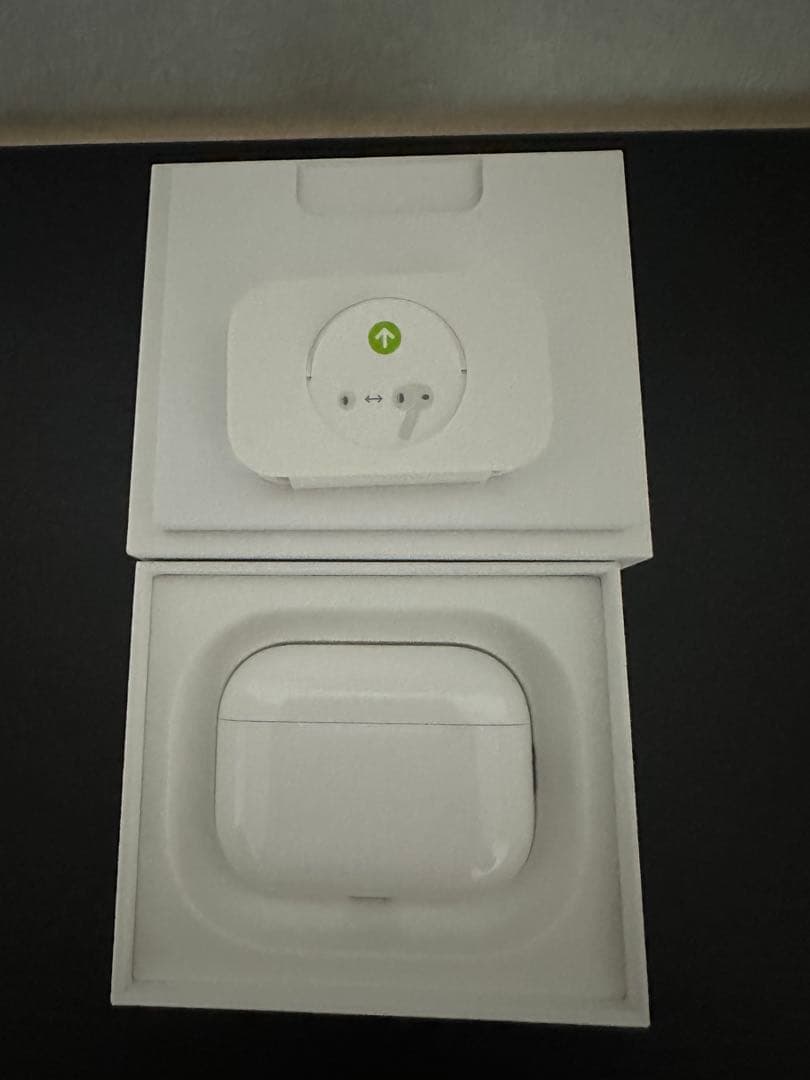 岩*二様 Apple AirPods Pro3 本体