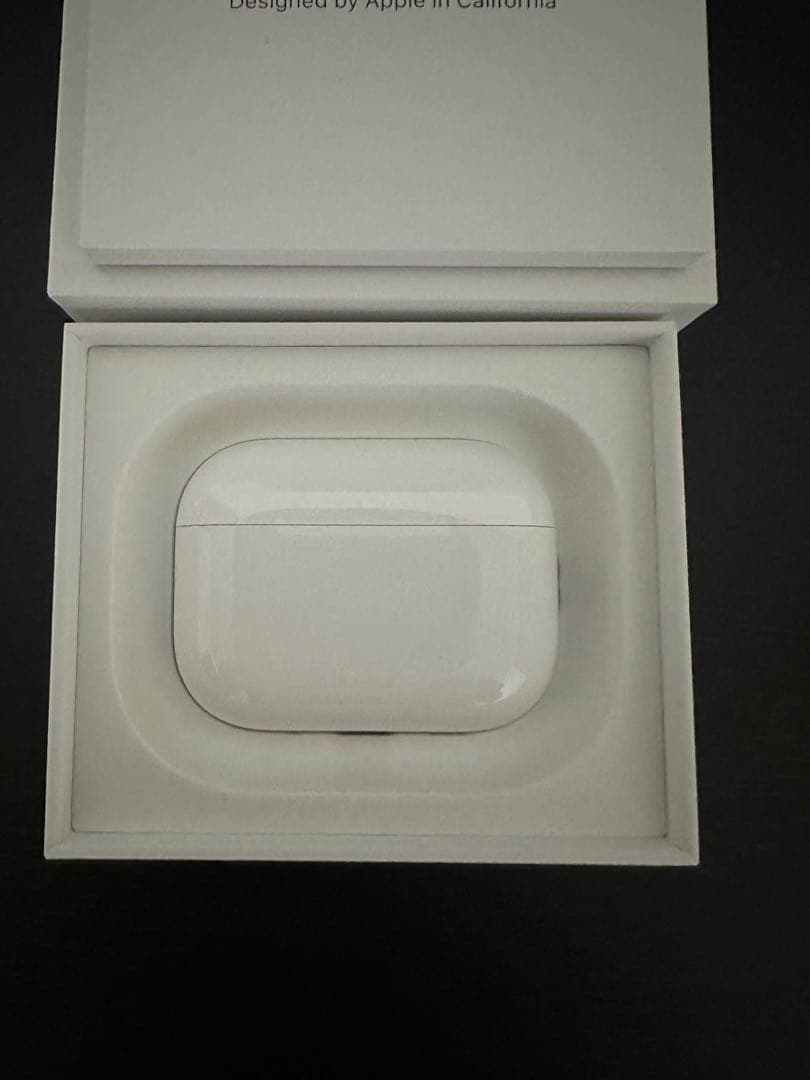 岩*二様 Apple AirPods Pro3 本体