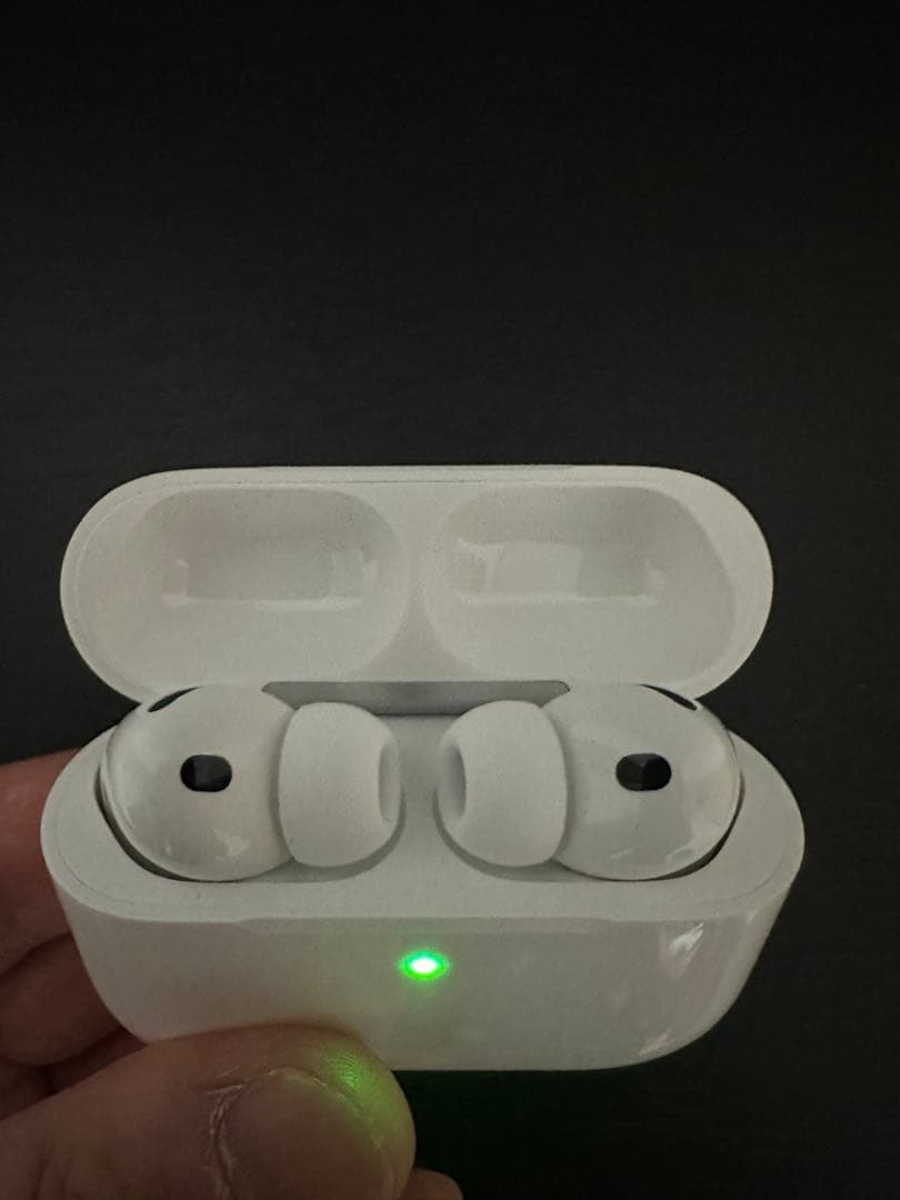 岩*二様 Apple AirPods Pro3 本体