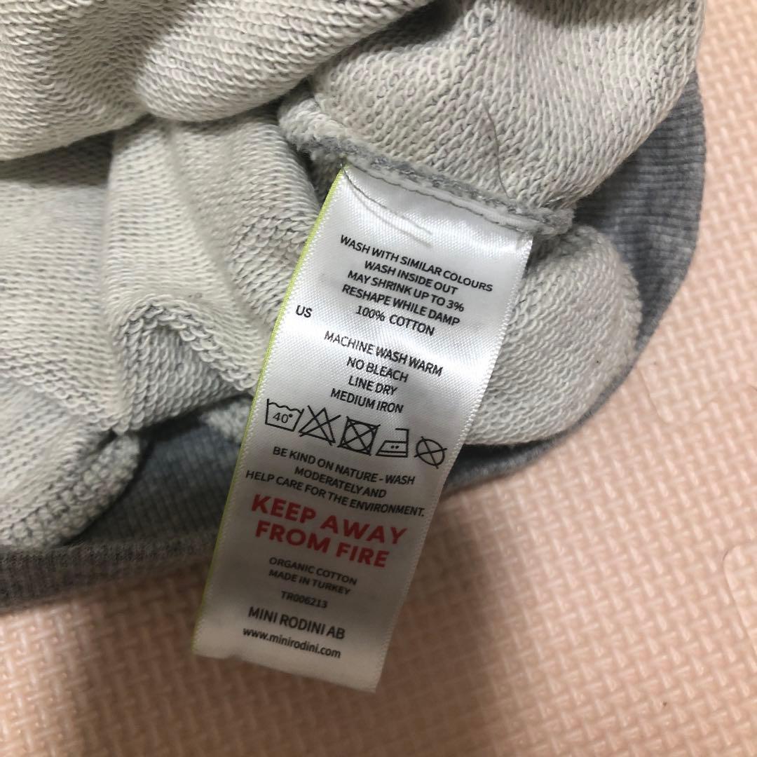 minirodini × ET トレーナー