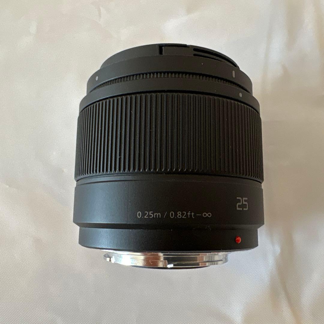 パナソニック LUMIX DC-GF90W-K ブラック ダブルレンズキット