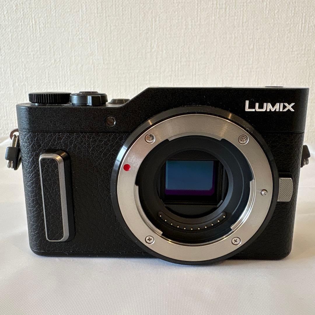 パナソニック LUMIX DC-GF90W-K ブラック ダブルレンズキット
