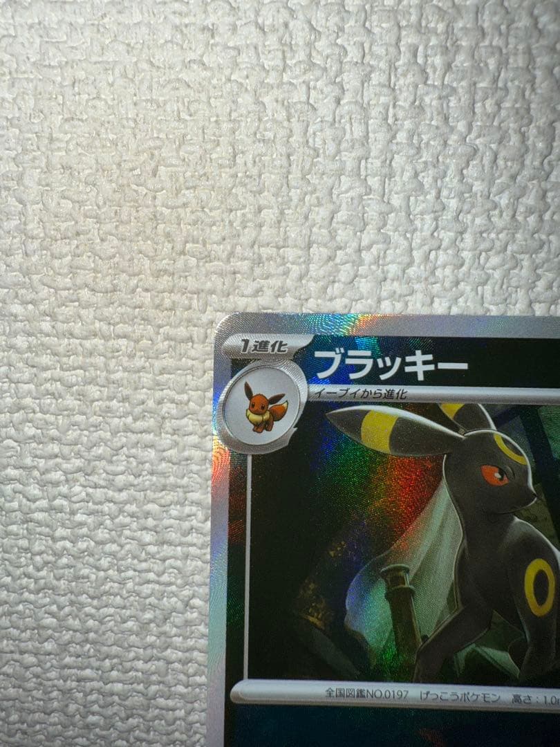 マスターボールミラー　ブラッキー テラスタルフェスex SV8a