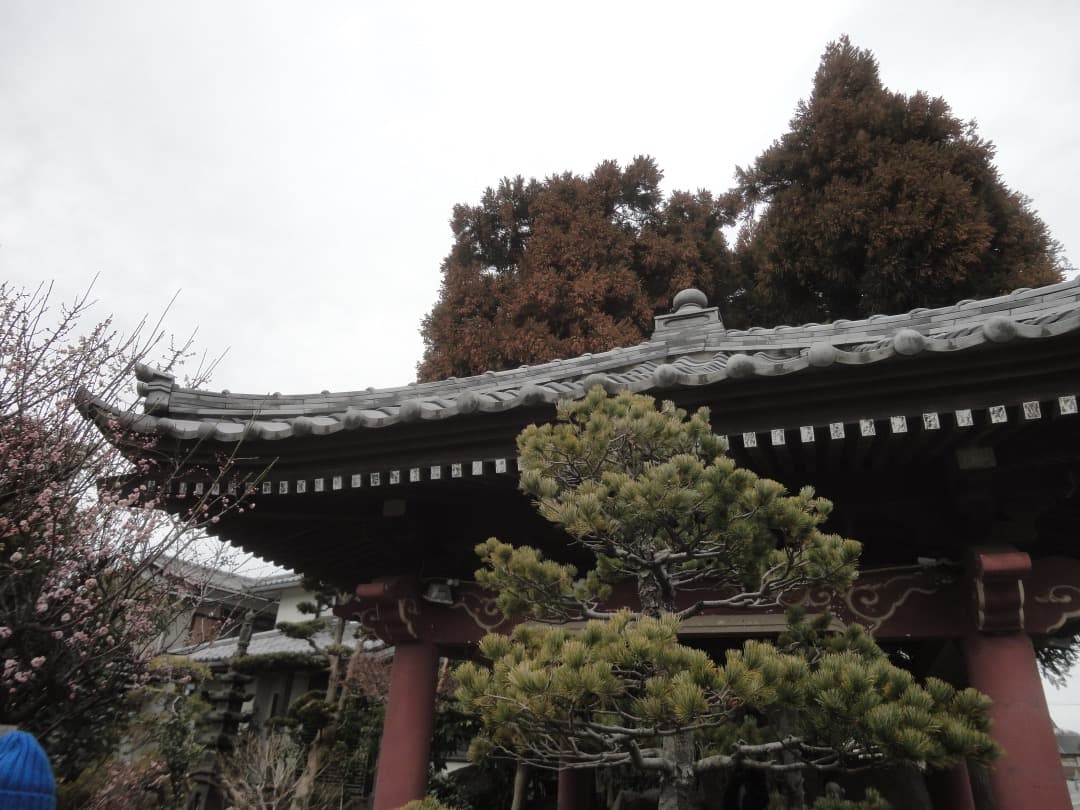 実写⭕️【動作確認済】 SONY CyberShot DSC-W380