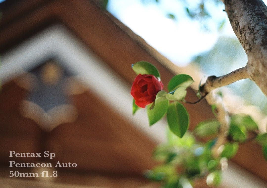 ★希少★PENTACON 50mm f1.8★pentax sp ★完動品＊美品