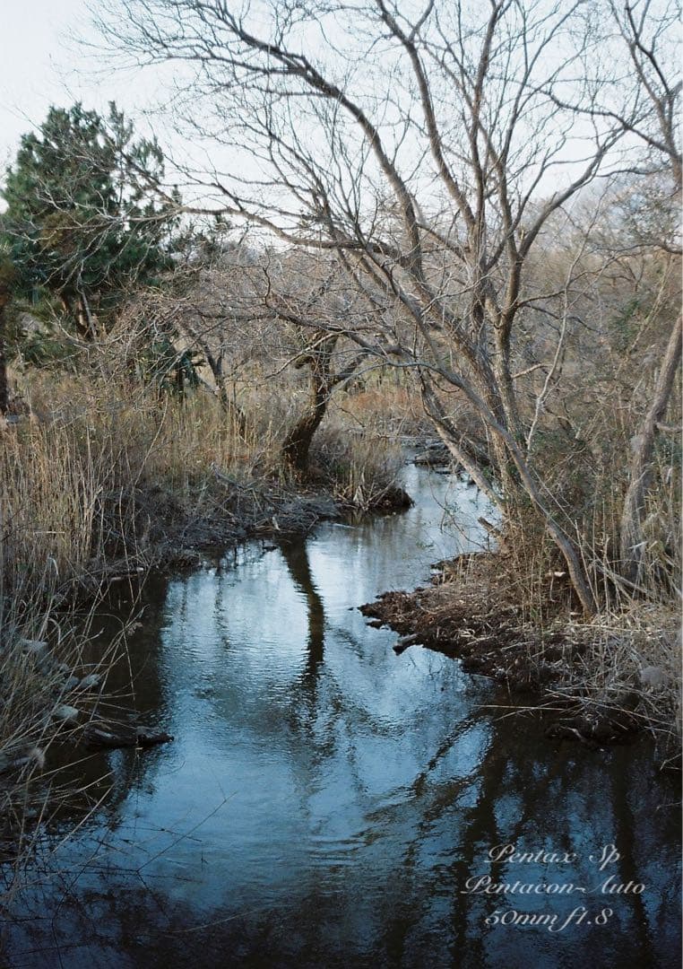 ★希少★PENTACON 50mm f1.8★pentax sp ★完動品＊美品