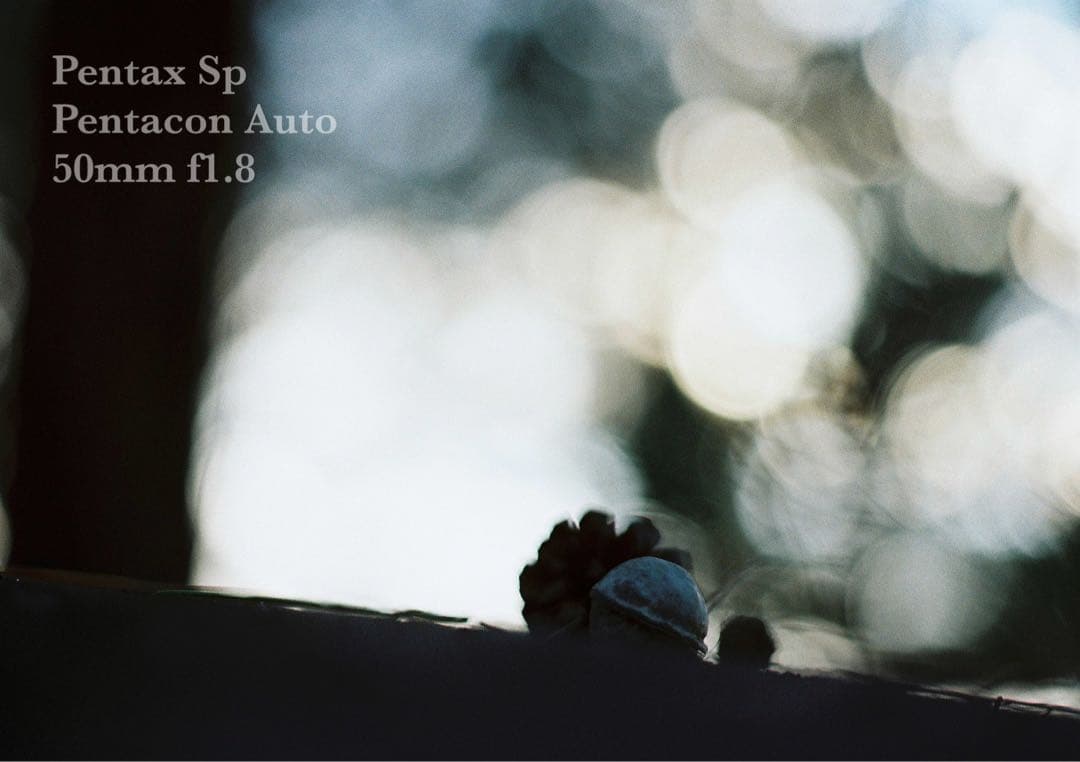 ★希少★PENTACON 50mm f1.8★pentax sp ★完動品＊美品