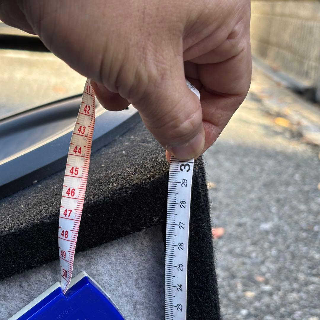 Pioneer Champion series ウーファー