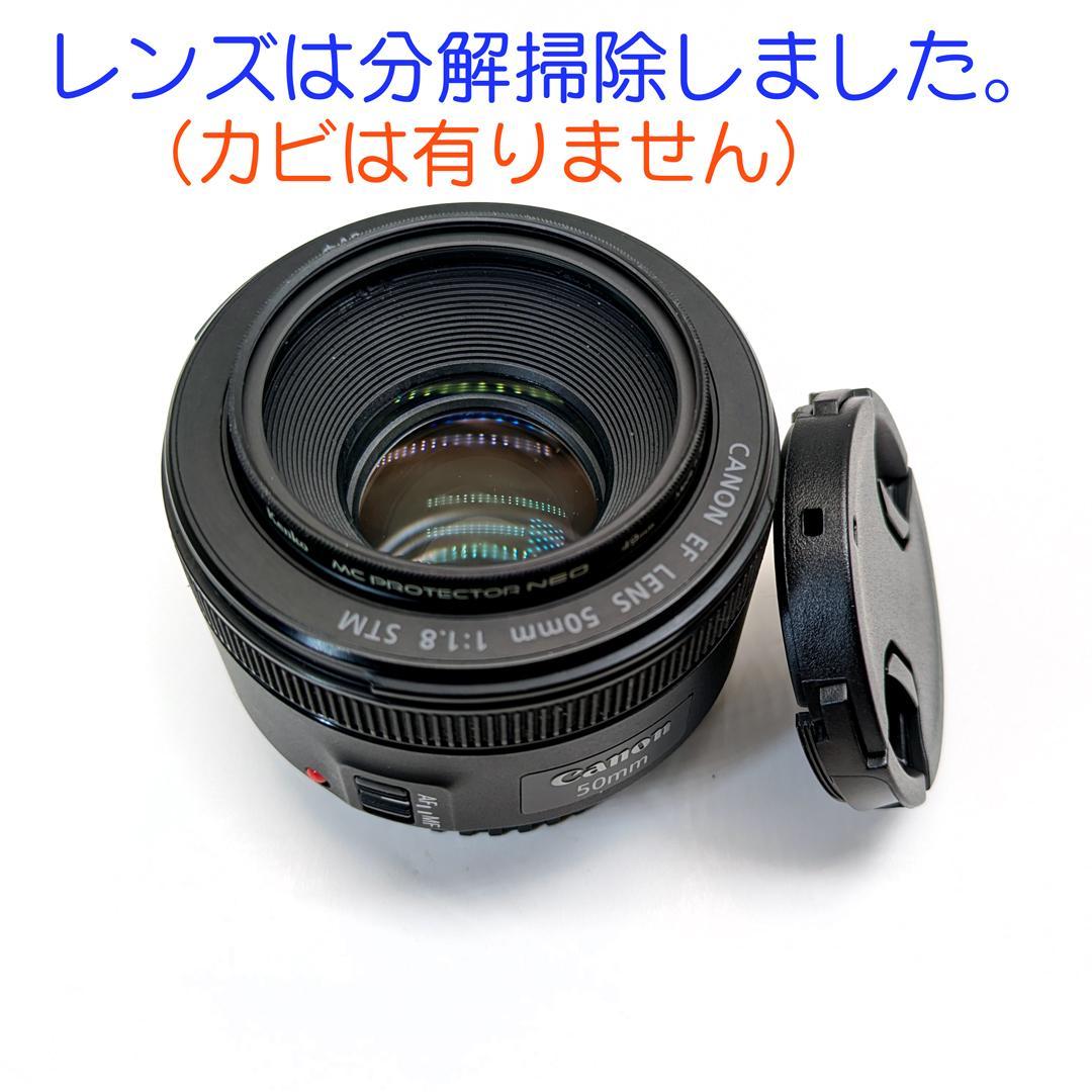 【美品】キヤノン EF 50mm F1.8 STM 単焦点レンズ EFマウント