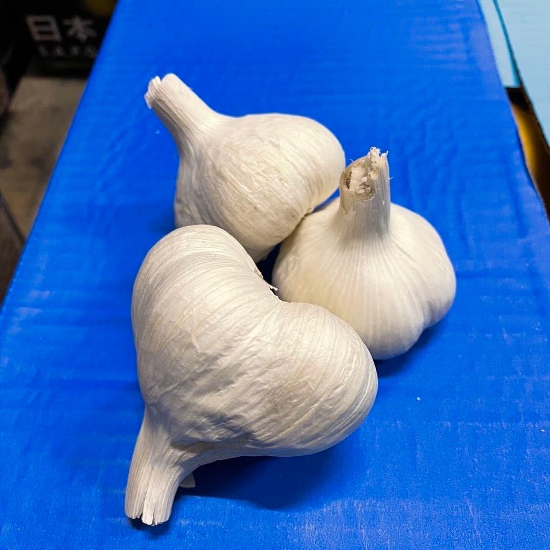 青森県産 ホワイト六片 ニンニク にんにく バラ 10kg