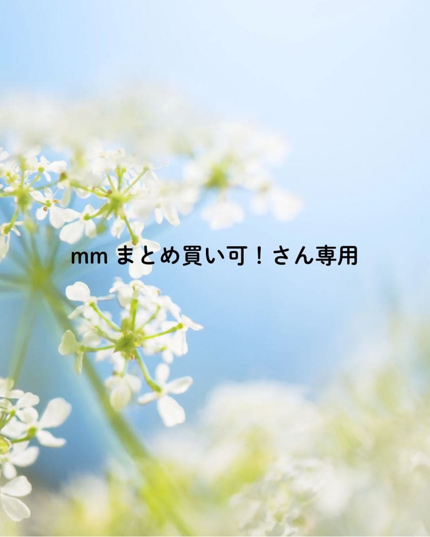 mm まとめ買い割引可！さん専用