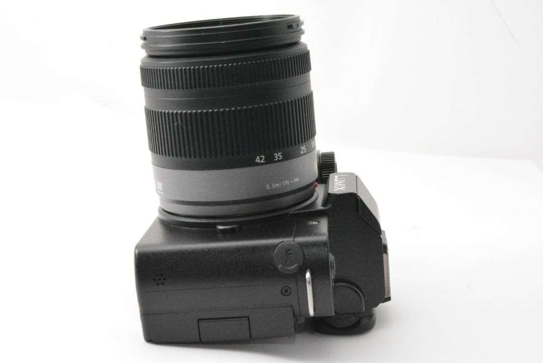 ★美品★ PANASONIC LUMIX DC-G100D 14-42mm