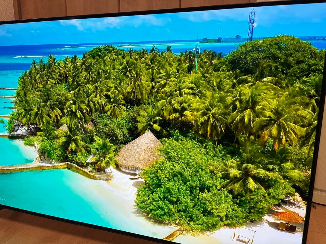 【美品】48V型 有機ELテレビ OLED48A1PJA