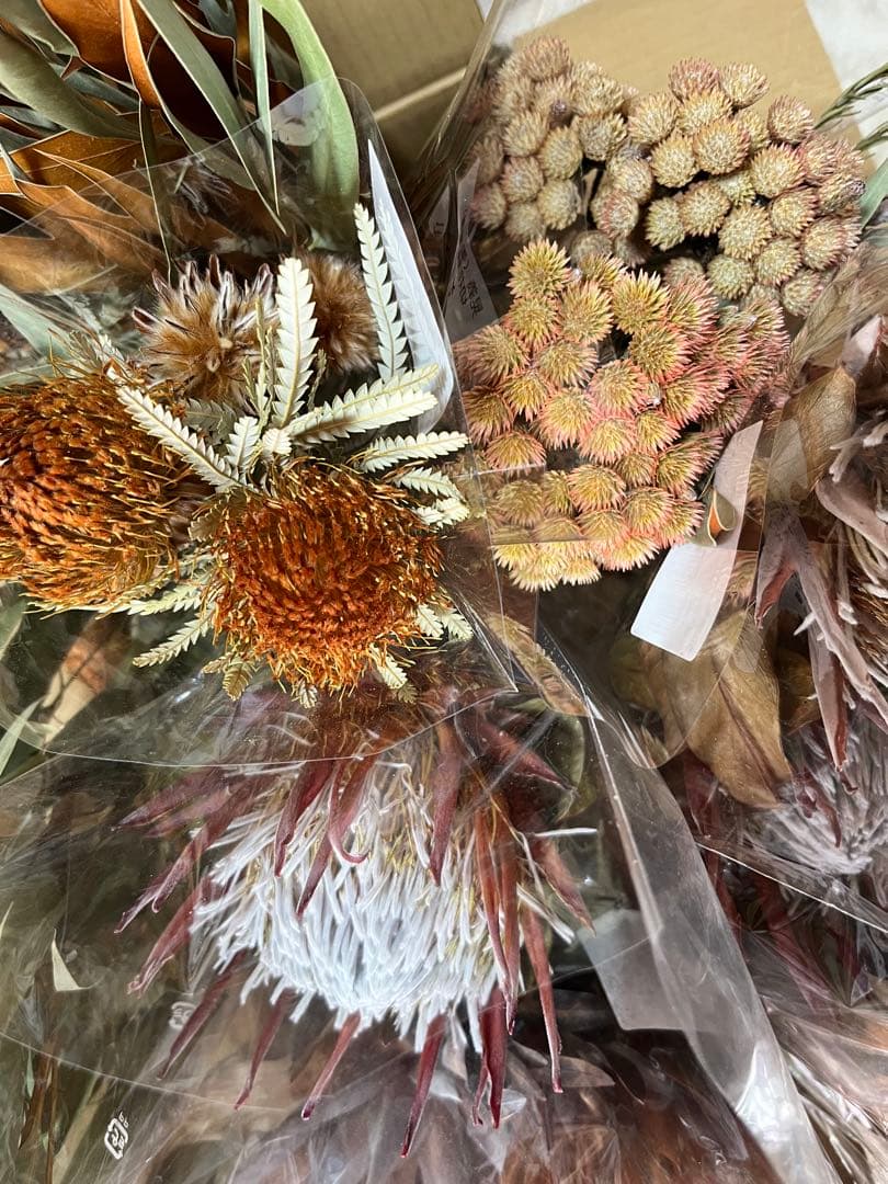 ドライフラワーネイティブフラワーセット