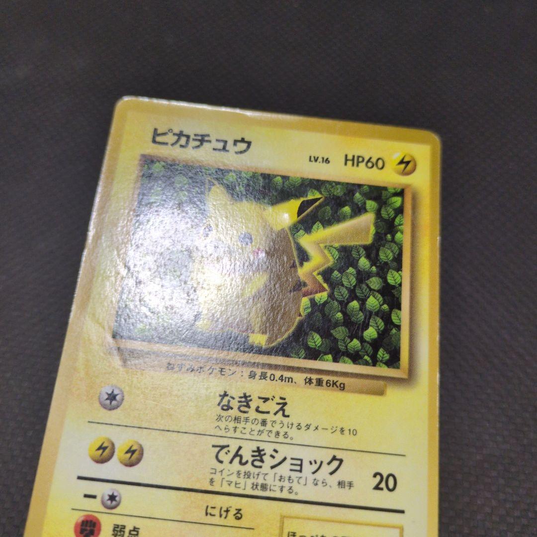 旧裏　　ピカチュウ　誤表記　ken sugimori　ポケモンカード