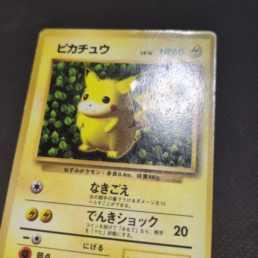 旧裏　　ピカチュウ　誤表記　ken sugimori　ポケモンカード