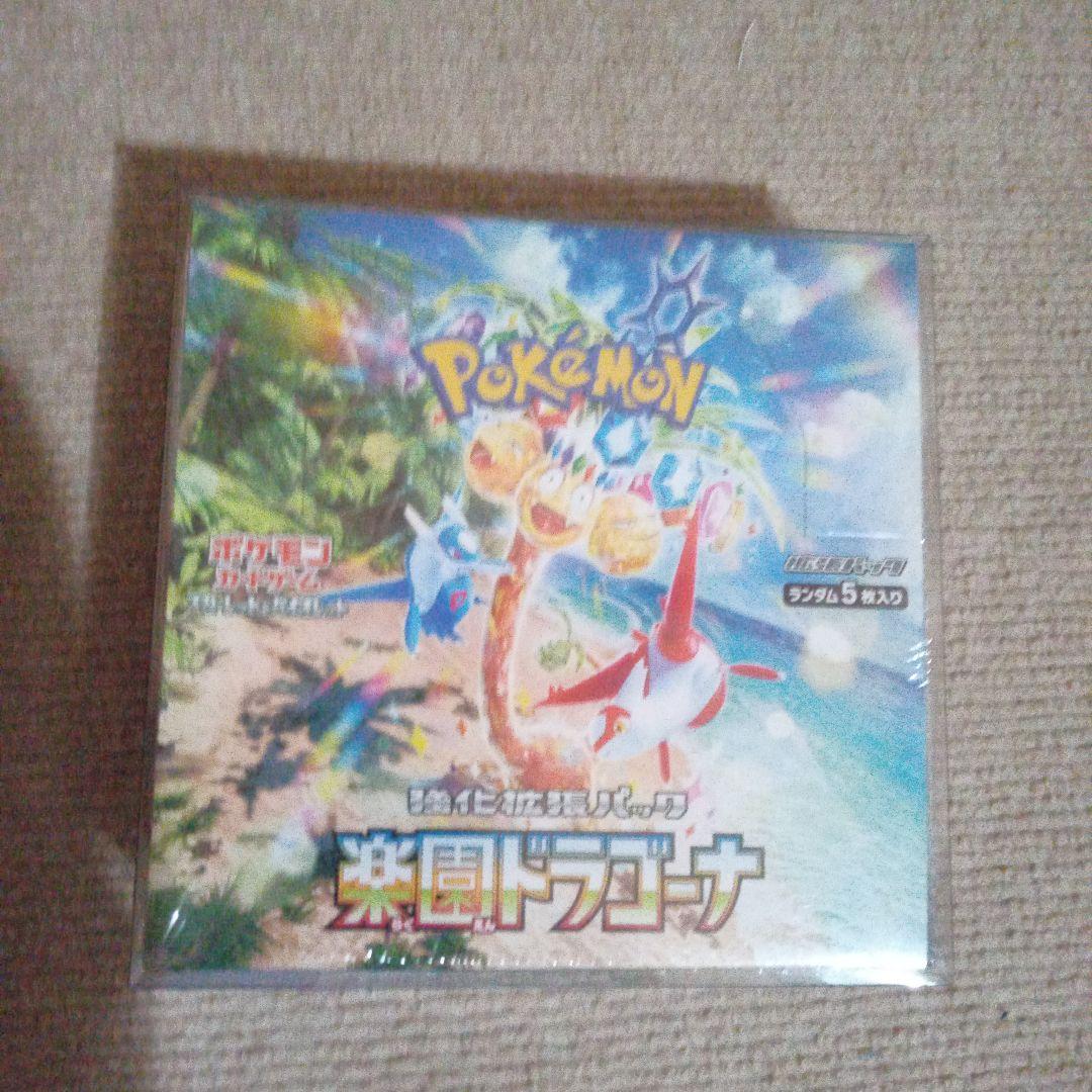 ポケモン楽園ドラゴーナ 新品未開封