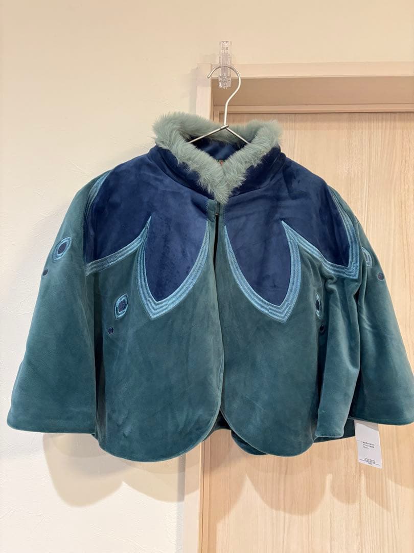 リトシー　アナ雪　ケープ　160 【2点】