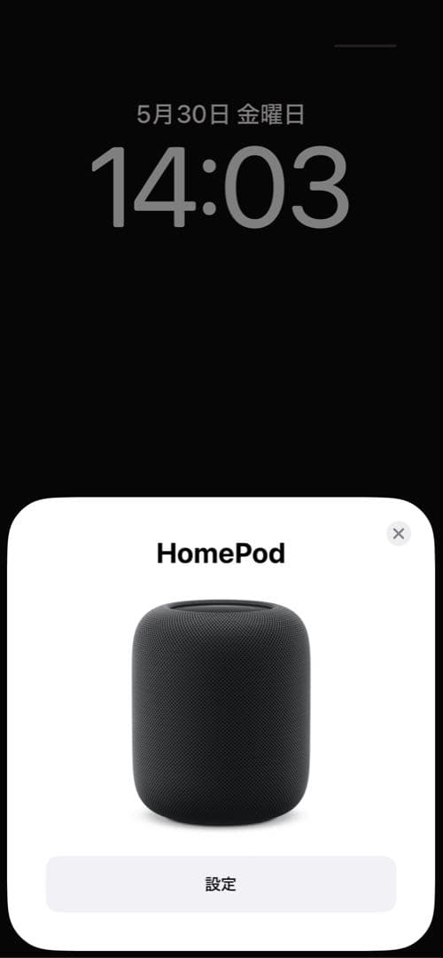 【ジャンク品】Apple Pod 第2世代 ブラック 箱付き