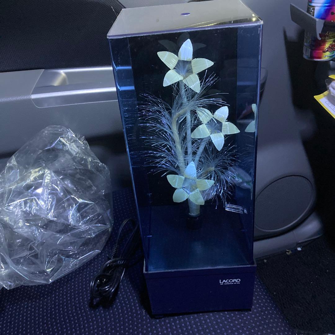 ラコード（LACORD）製の光ファイバー