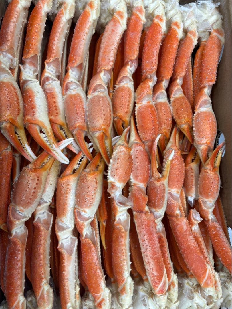 よーこ 12月24日 午前中到着希望