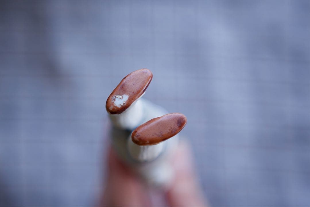 アンティーク ビスクドール オールビスク ドイツ