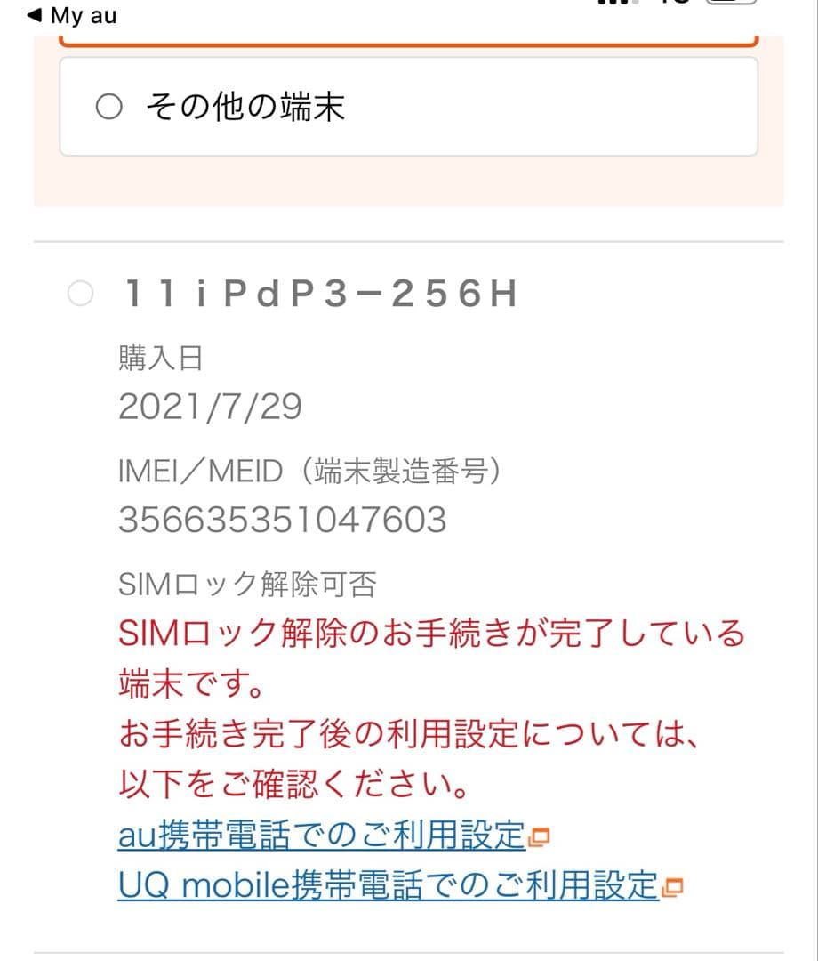 iPad Pro 256GB 第三世代　Wi-Fi + Cellular