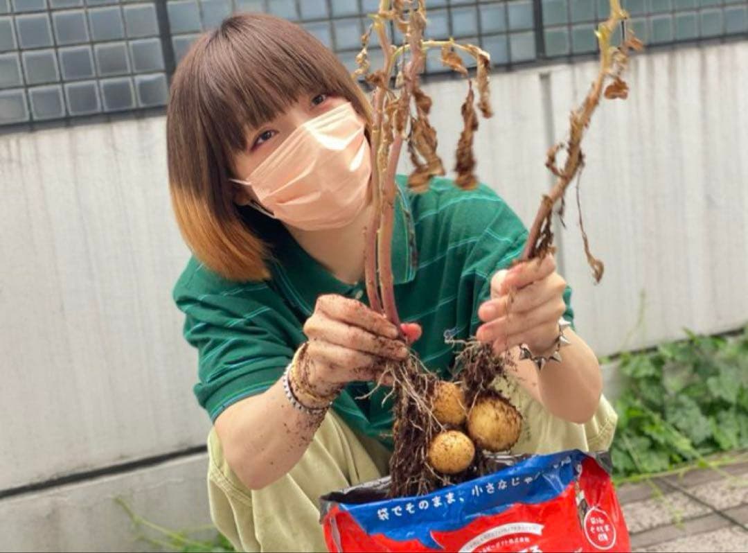 aiko着 e.m. イーエム シルバー スタッズ バングル