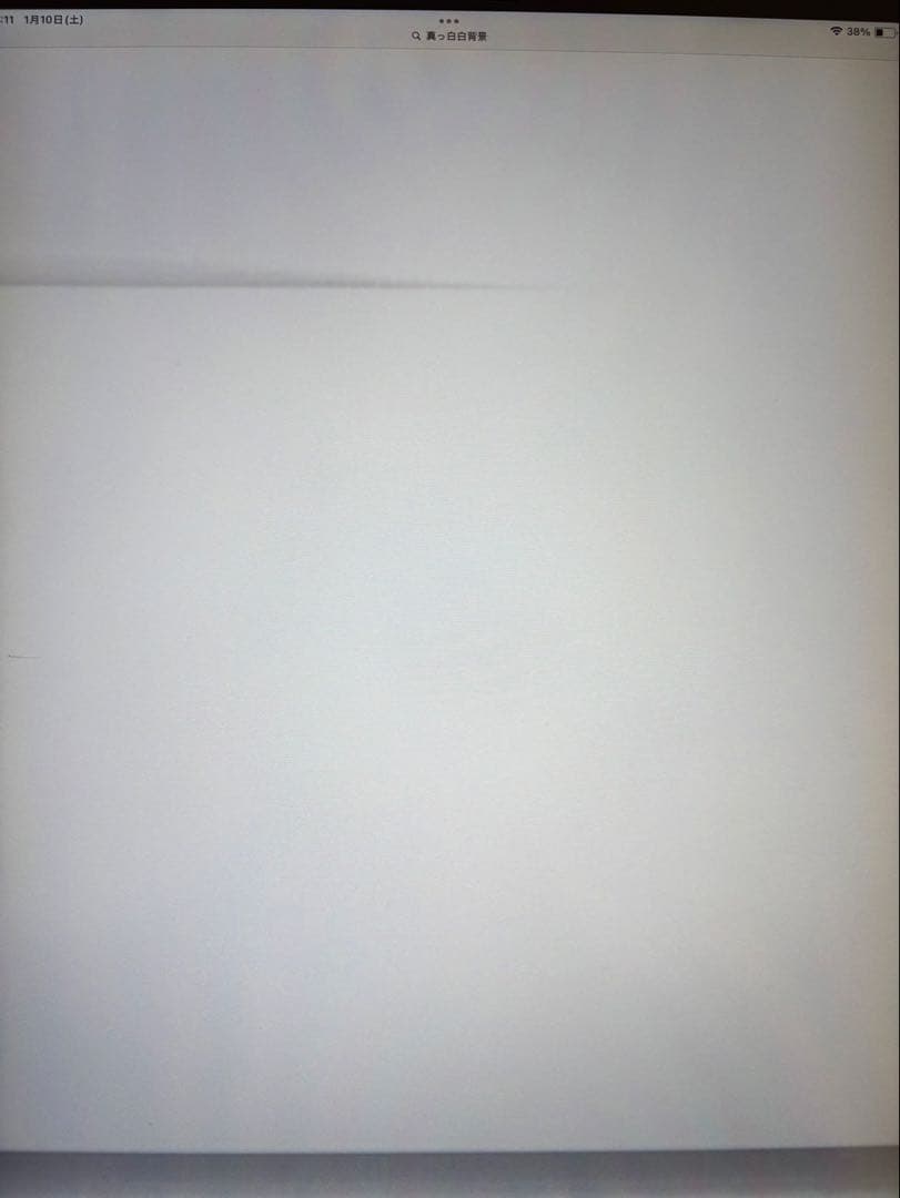 【動作良好】iPad pro 第4世代 12.9インチ A2229 シルバー