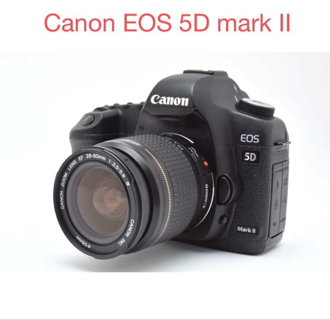 デジタル一眼レフカメラCanon EOS 5D Mark II標準レンズセット