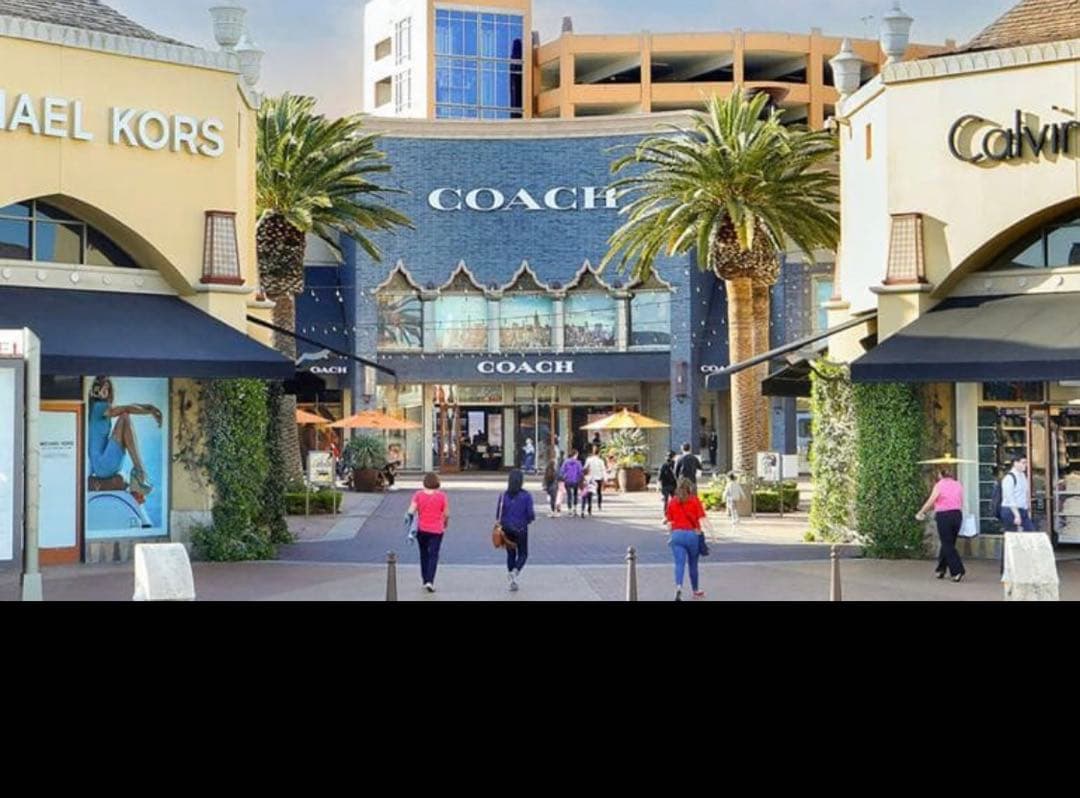 COACHコーチシグネチャーチェリープリントロングzip長財布