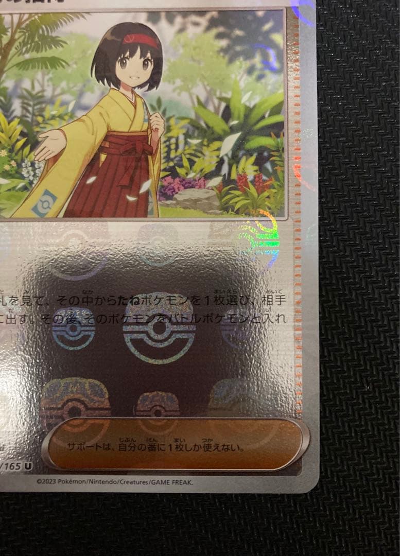 エリカの招待 マスターボールミラー