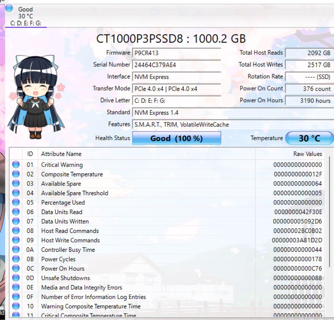 ブラック PCケース メッシュパターン
