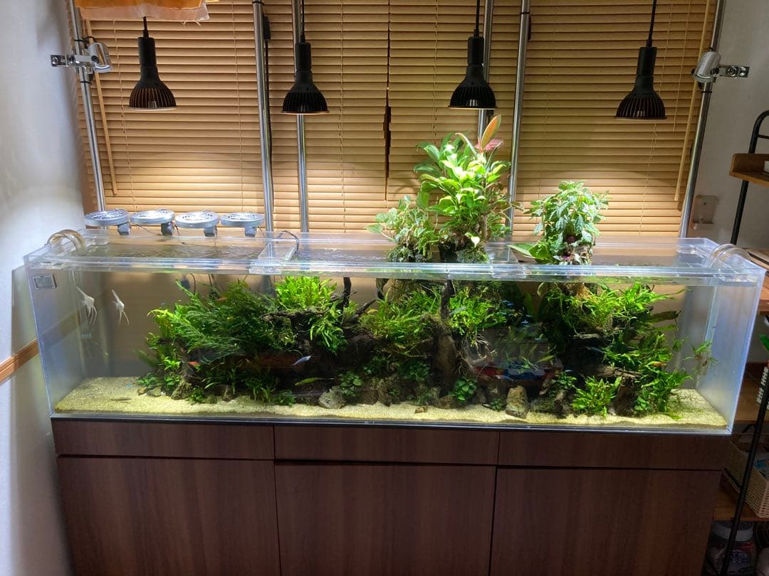 ひわ　大型アクリル水槽 横1800x高さ450x奥行き300mm 水槽のみ