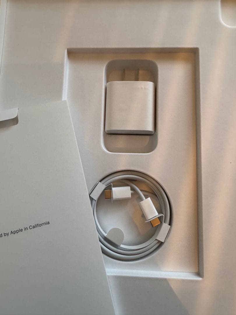 iPad Pro (第5世代) 12.9 128GB Cellular グレー